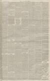 Tamworth Herald Saturday 19 April 1873 Page 3