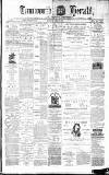 Tamworth Herald Saturday 10 March 1877 Page 1