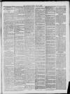 Tamworth Herald Saturday 05 July 1879 Page 7