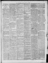 Tamworth Herald Saturday 16 August 1879 Page 7