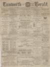 Tamworth Herald Saturday 01 January 1881 Page 1