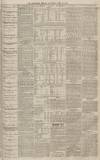 Tamworth Herald Saturday 08 April 1882 Page 7