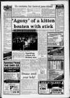 Tamworth Herald Friday 07 February 1986 Page 3