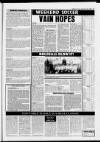 Tamworth Herald Friday 20 November 1987 Page 81