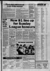 Tamworth Herald Friday 29 July 1988 Page 81