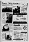 Tamworth Herald Friday 07 December 1990 Page 53