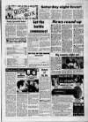 Tamworth Herald Friday 04 March 1994 Page 33