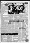 Tamworth Herald Friday 02 February 1996 Page 93