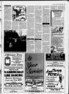 Tamworth Herald Friday 03 January 1997 Page 29