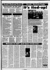 Tamworth Herald Friday 24 January 1997 Page 95