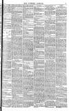Daily Gazette for Middlesbrough Wednesday 13 December 1871 Page 3