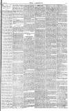 Daily Gazette for Middlesbrough Wednesday 21 January 1874 Page 3
