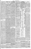 Daily Gazette for Middlesbrough Friday 18 February 1876 Page 3