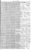 Daily Gazette for Middlesbrough Tuesday 05 December 1876 Page 3