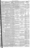 Daily Gazette for Middlesbrough Friday 20 April 1877 Page 3