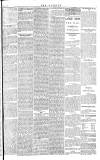 Daily Gazette for Middlesbrough Thursday 31 January 1878 Page 3