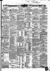 Hampshire Advertiser Saturday 17 November 1860 Page 1