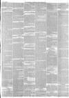 Hampshire Advertiser Saturday 16 May 1874 Page 7
