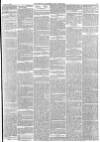 Hampshire Advertiser Saturday 10 February 1877 Page 6