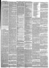 Hampshire Advertiser Wednesday 24 December 1879 Page 3