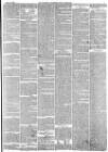 Hampshire Advertiser Saturday 16 October 1880 Page 7