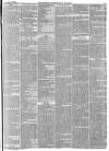 Hampshire Advertiser Saturday 20 November 1880 Page 3