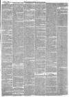 Hampshire Advertiser Saturday 04 February 1882 Page 3