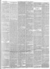 Hampshire Advertiser Saturday 24 March 1883 Page 3