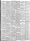 Hampshire Advertiser Saturday 01 March 1884 Page 7