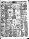 Hampshire Advertiser Saturday 24 November 1894 Page 1