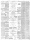 Wrexham Advertiser Saturday 03 February 1877 Page 3