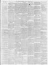 Wrexham Advertiser Saturday 14 February 1880 Page 7