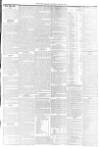 York Herald Saturday 25 July 1846 Page 5