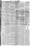 York Herald Saturday 01 June 1850 Page 7