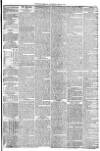 York Herald Saturday 24 May 1851 Page 5