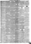 York Herald Saturday 06 November 1852 Page 7