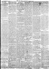 York Herald Saturday 12 January 1856 Page 3