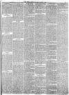 York Herald Saturday 01 March 1856 Page 11