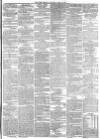 York Herald Saturday 26 April 1856 Page 7