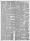 York Herald Saturday 26 February 1859 Page 5