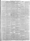 York Herald Saturday 21 January 1860 Page 5
