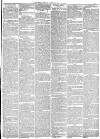 York Herald Saturday 20 May 1865 Page 11