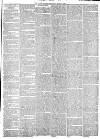 York Herald Saturday 03 June 1865 Page 3
