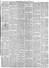 York Herald Saturday 25 November 1865 Page 5