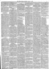 York Herald Saturday 10 April 1875 Page 11