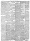 York Herald Thursday 15 April 1875 Page 5