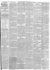 York Herald Friday 16 April 1875 Page 3