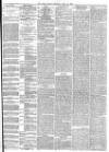 York Herald Thursday 29 April 1875 Page 3
