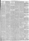 York Herald Friday 07 May 1875 Page 7