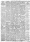 York Herald Friday 28 May 1875 Page 3